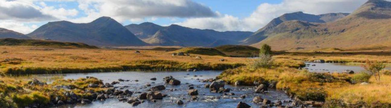 Local Places to Stay