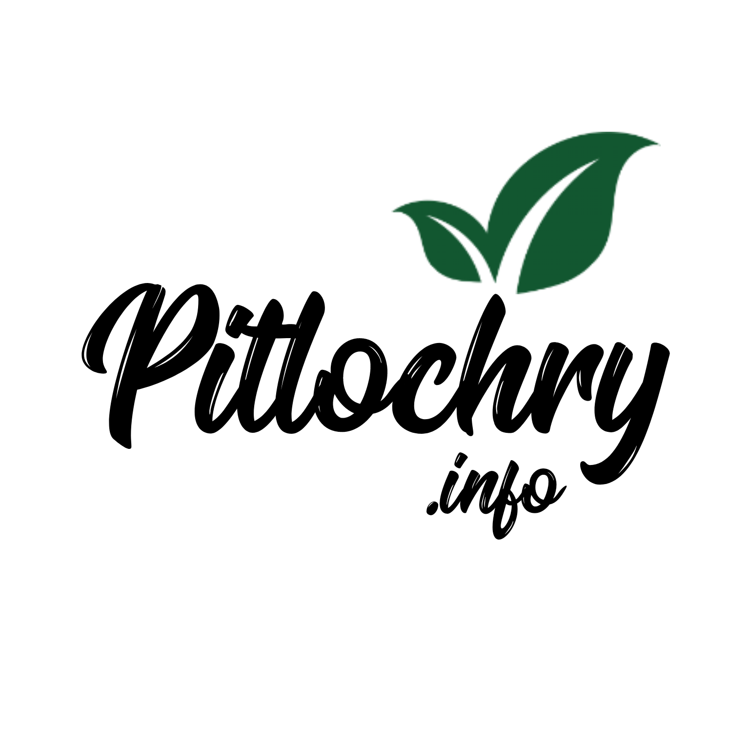 Tourism in Pitlochry